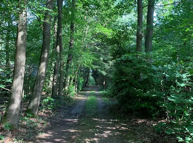 Prázdninový dům De 7 Geweien